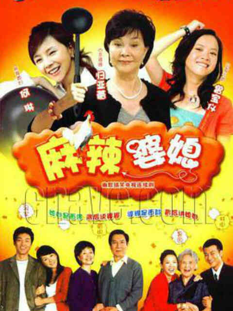 麻辣婆媳封面图