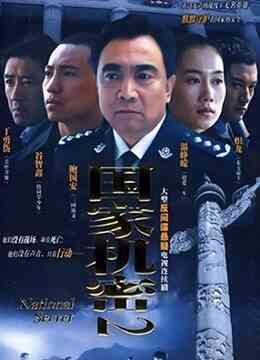 国家机密2封面图