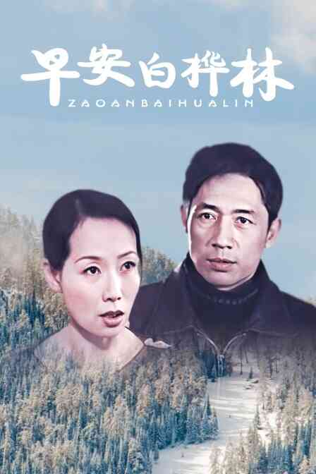 早安白桦林封面图