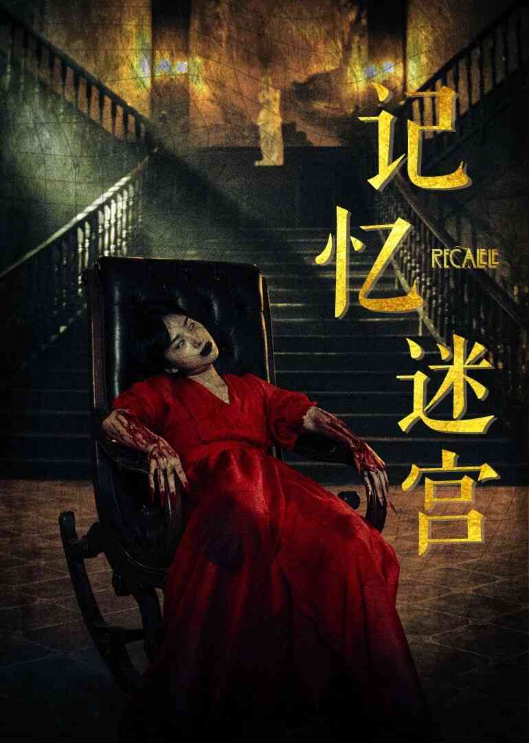 记忆迷宫封面图