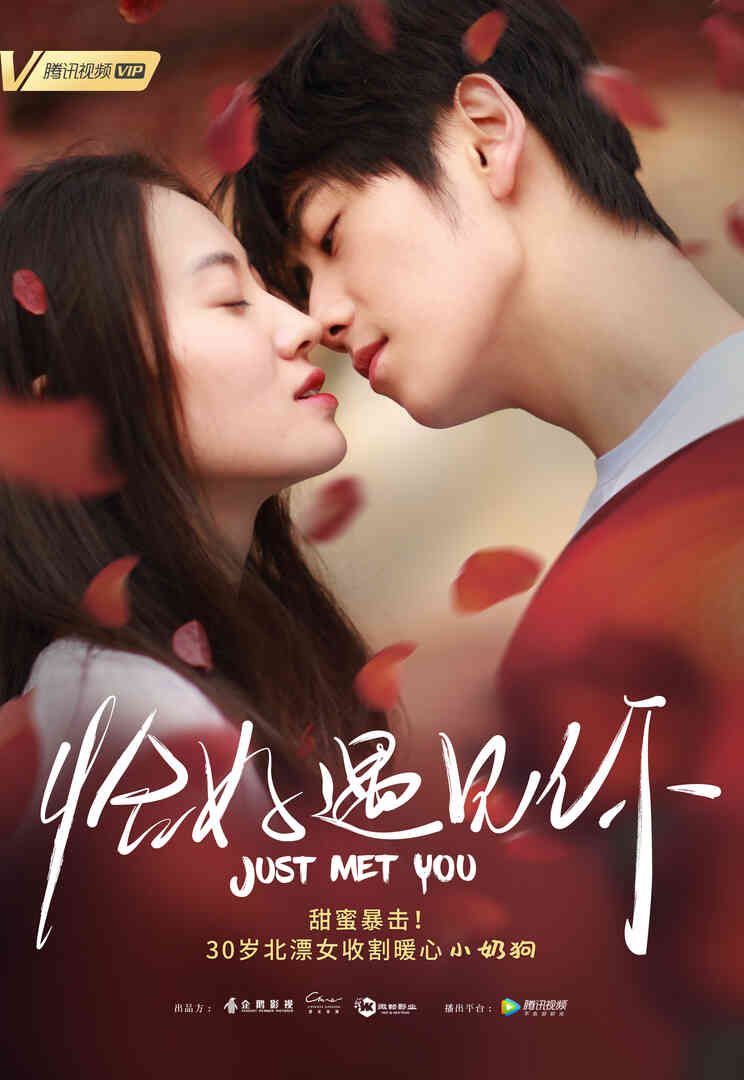 恰好遇见你封面图