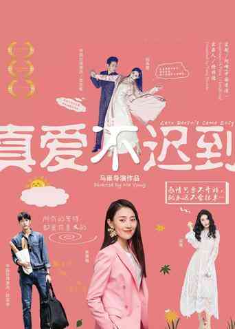 真爱不迟到封面图