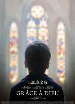 以恩宠之名封面图