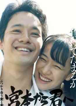 从宫本到你封面图