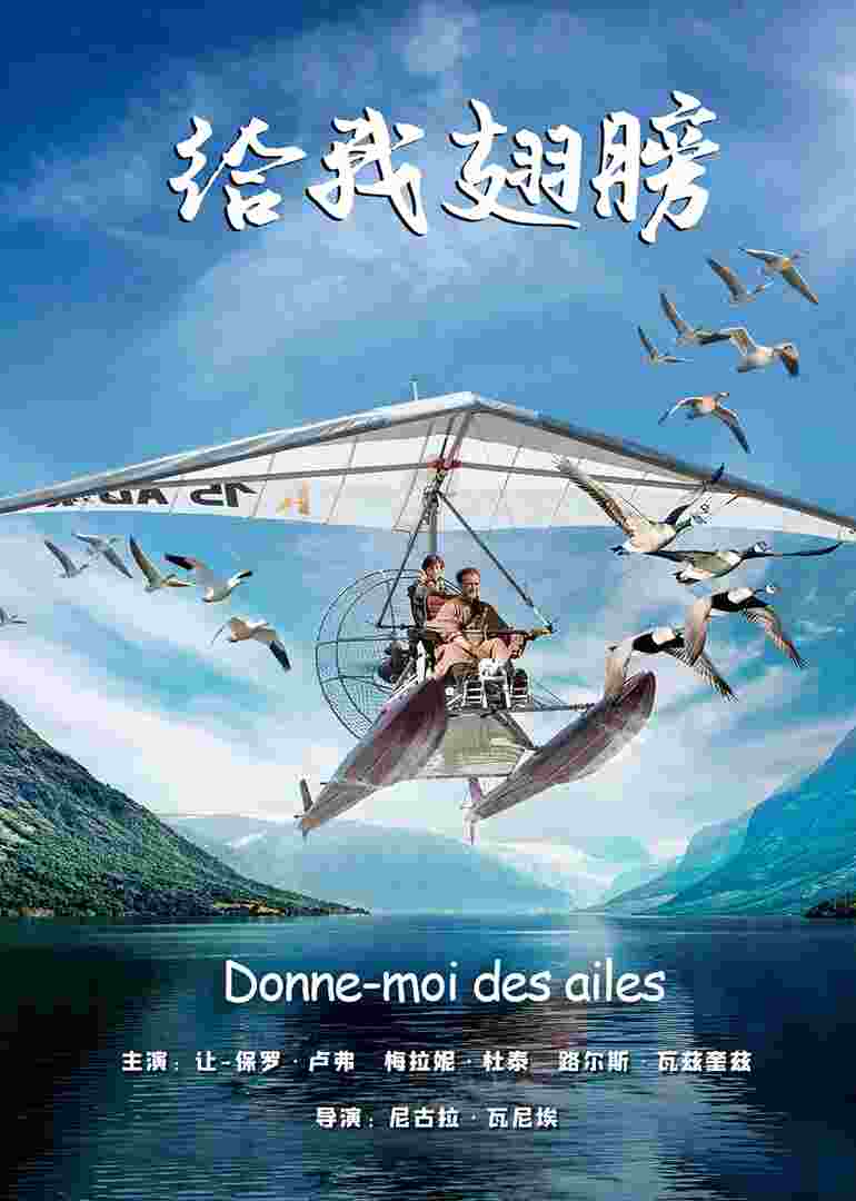 给我翅膀封面图