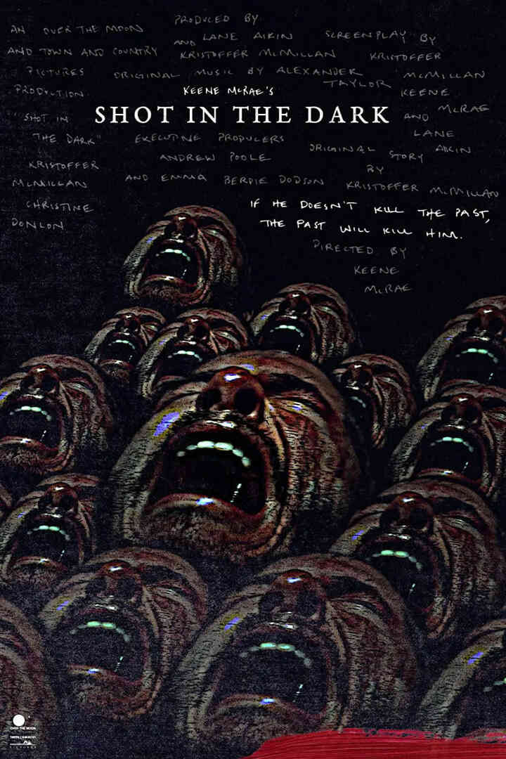 暗中一枪封面图