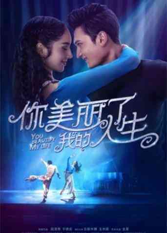 你美丽了我的人生封面图