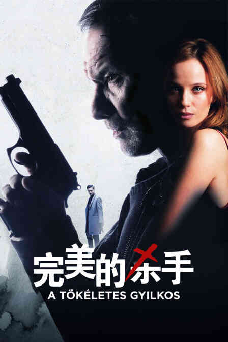 完美的杀手封面图