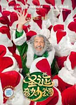 圣诞奇妙公司封面图