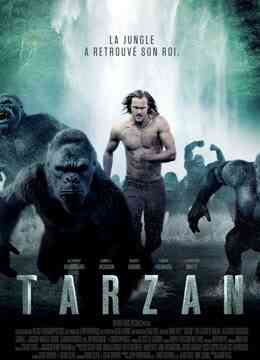 泰山归来：险战丛林封面图