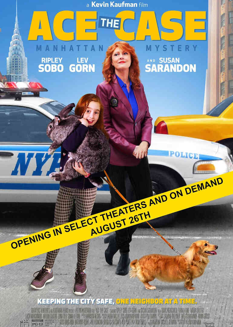 王牌案件封面图