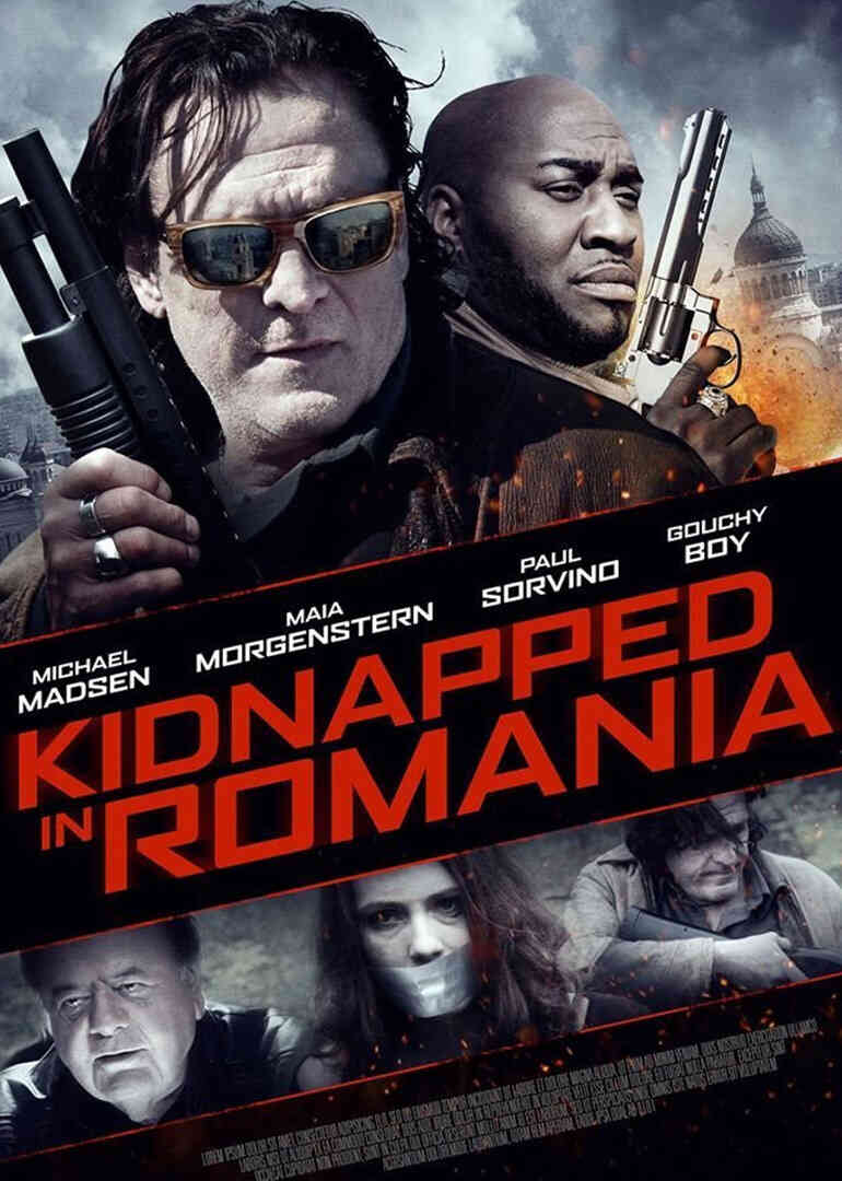 罗马尼亚绑架案封面图