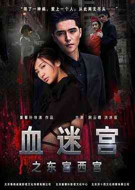 血迷宫之东宫西宫封面图