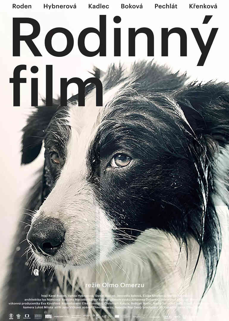 库宾一家人封面图