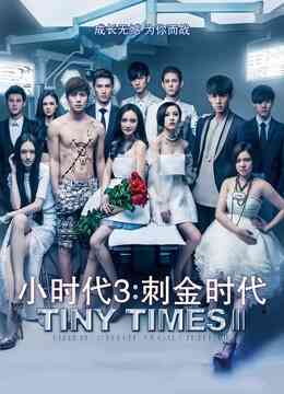 小时代3：刺金时代封面图