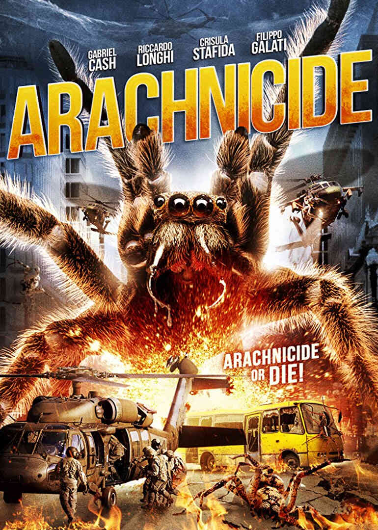 狙击蜘蛛巢封面图