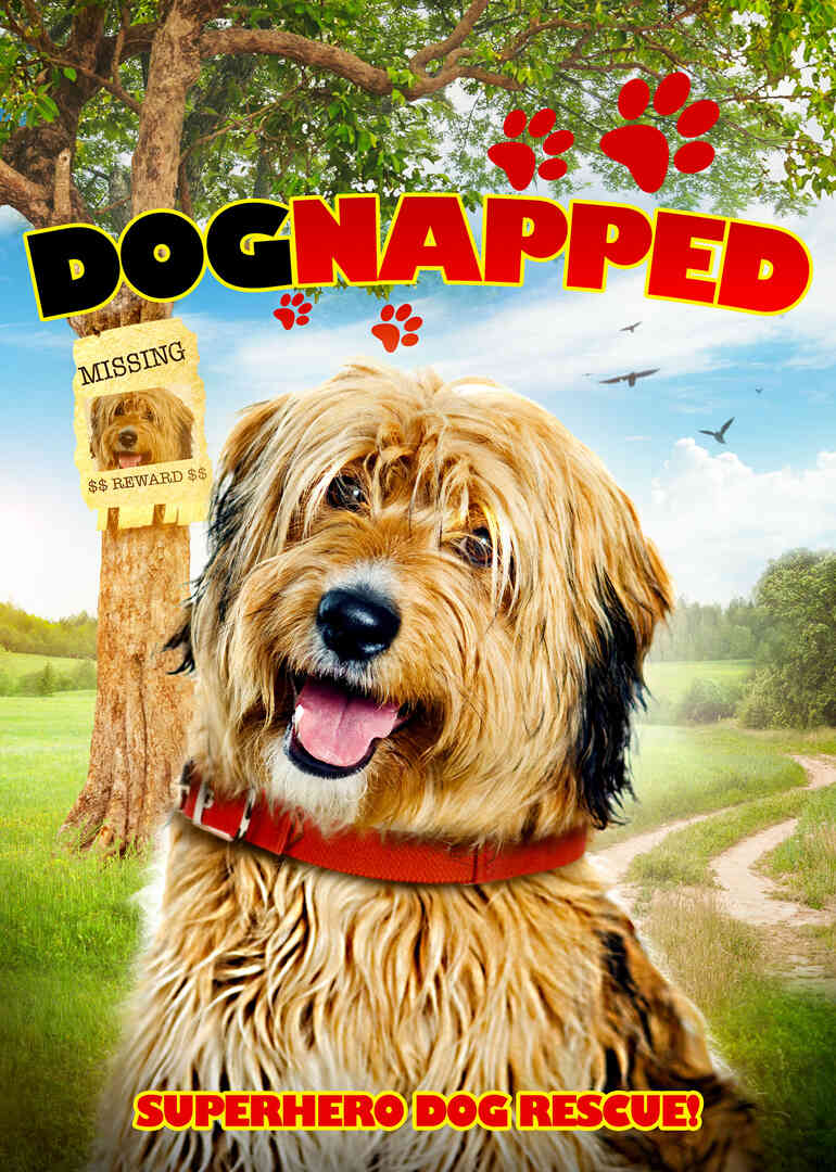 搜狗小分队封面图