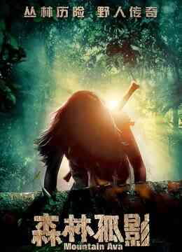 森林孤影封面图