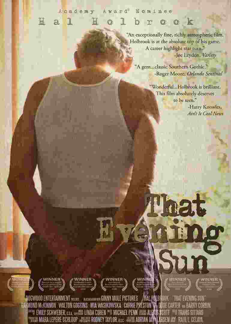 黑夜艳阳封面图