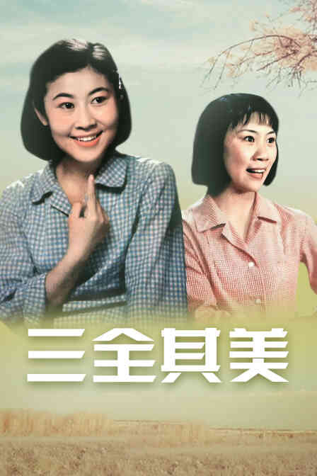 三全其美封面图