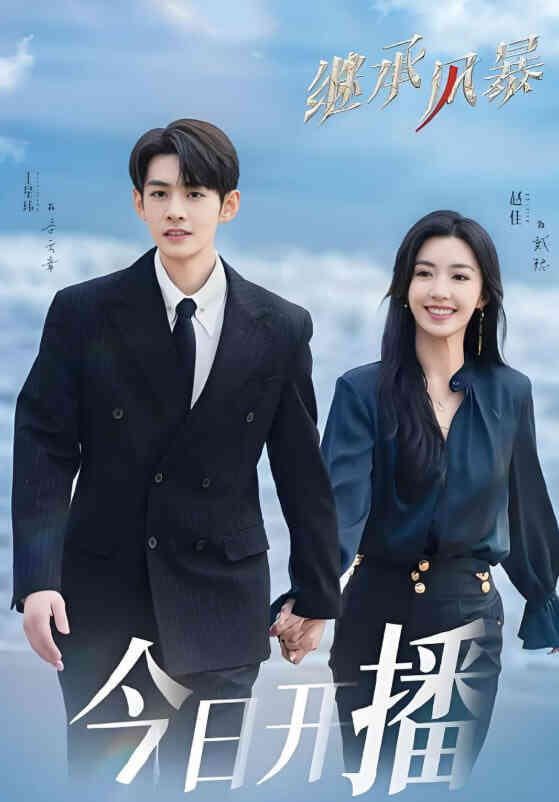 继承风暴封面图