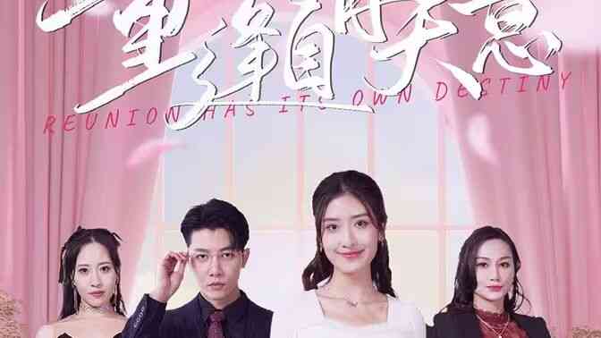 重逢自有天意封面图