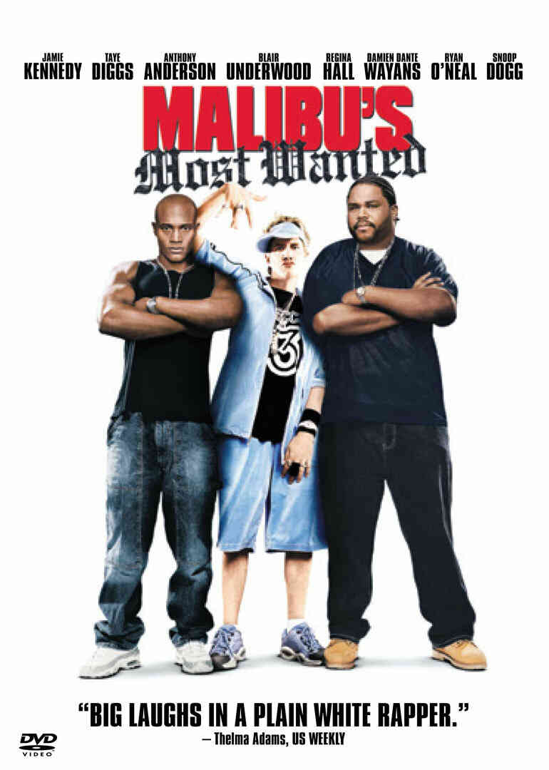 马里布绑票案封面图