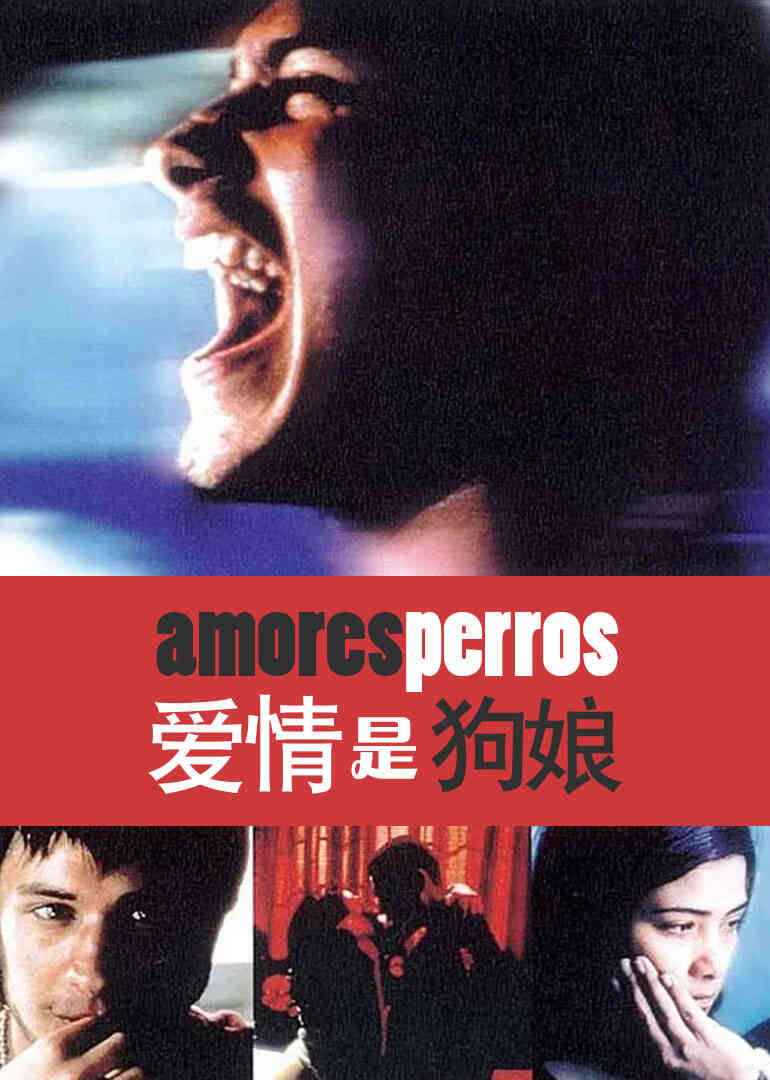 爱情是狗娘封面图