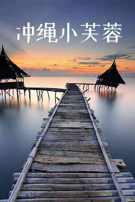 冲绳小芙蓉封面图
