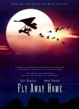 伴你高飞封面图