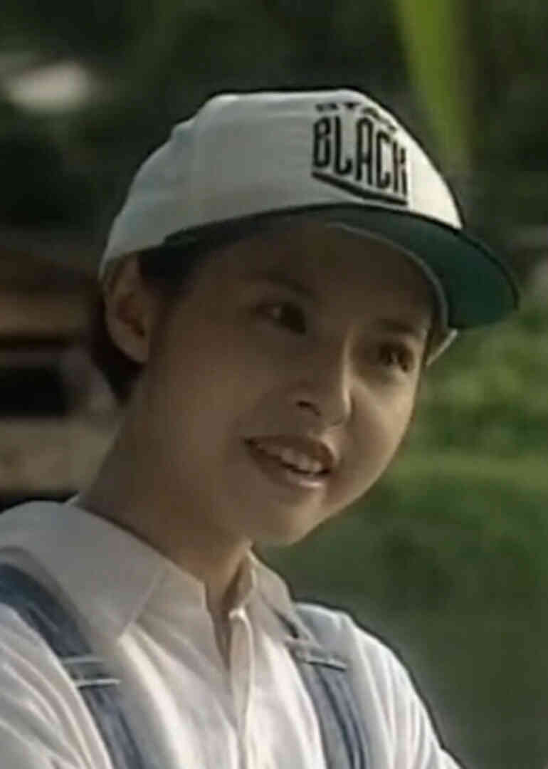 情汇艳阳天封面图