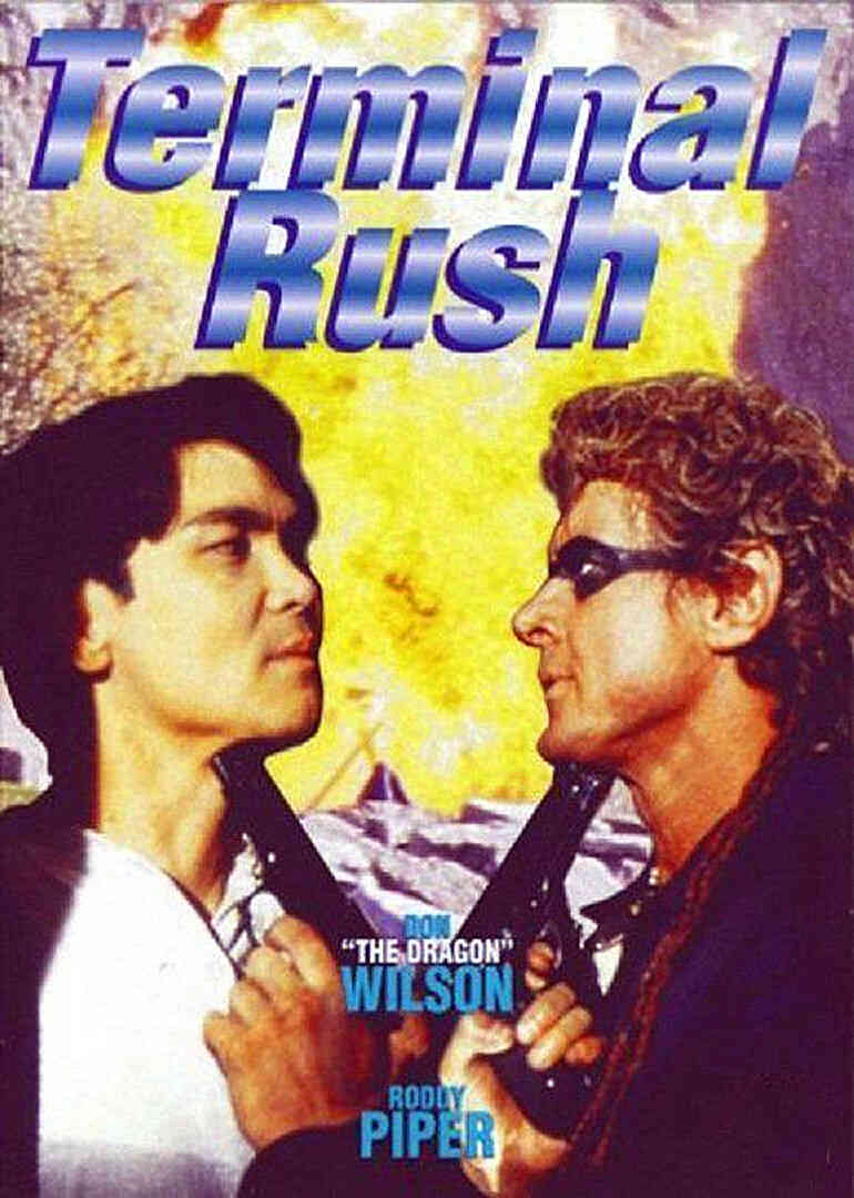 彪悍战将封面图