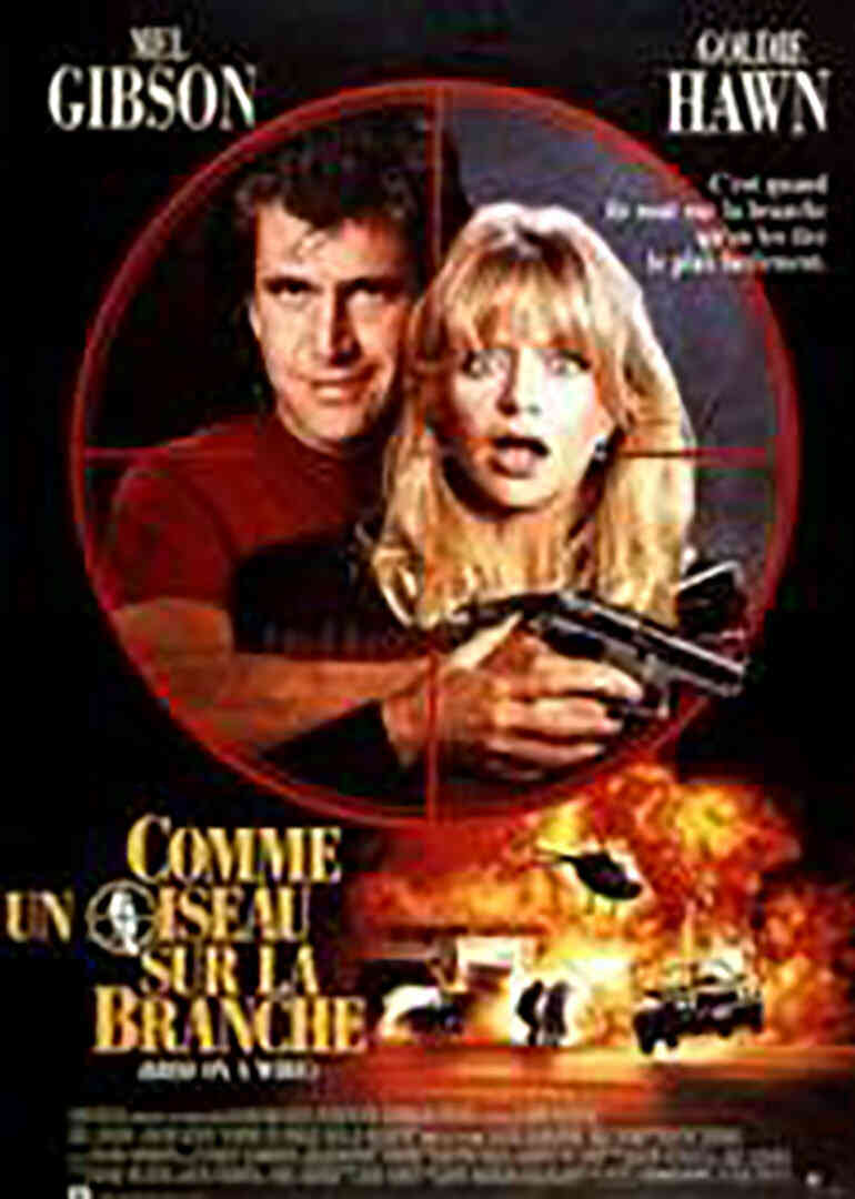 轰天俏娇娃封面图