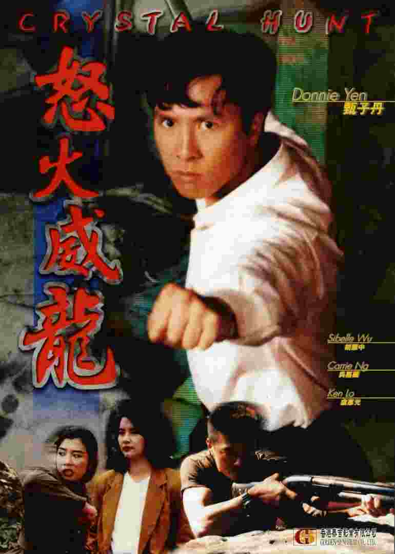 怒火威龙封面图