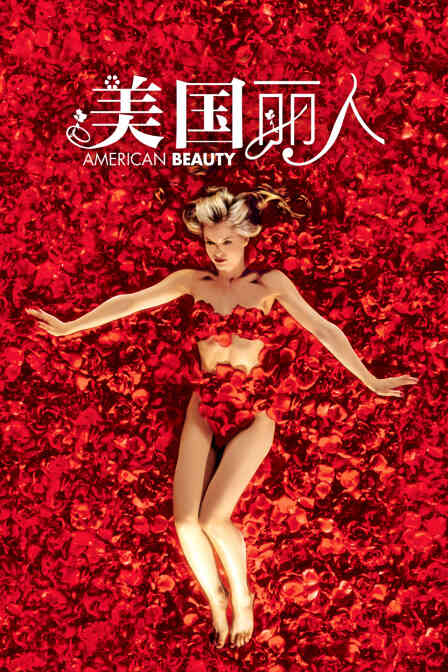 美国丽人封面图