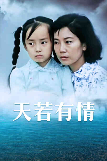 天若有情封面图