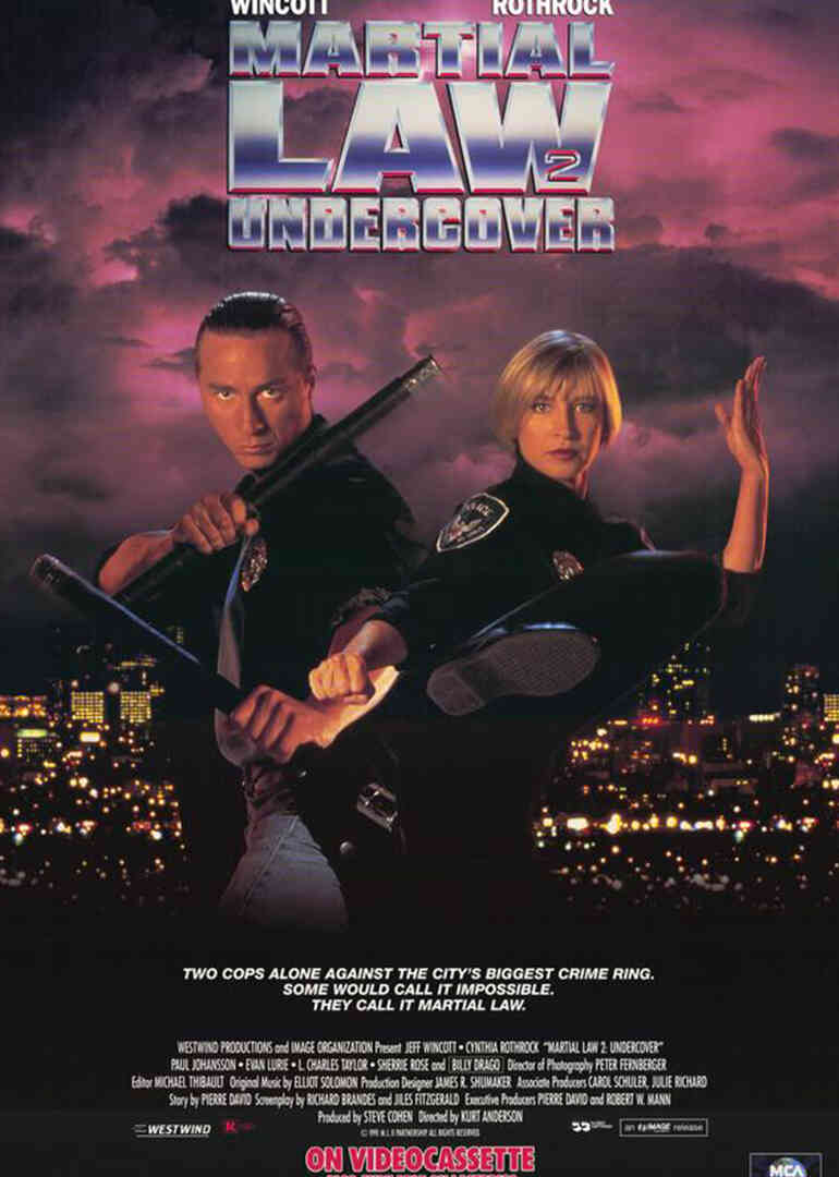 铁胆雄风封面图