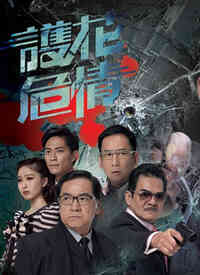 护花危情封面图