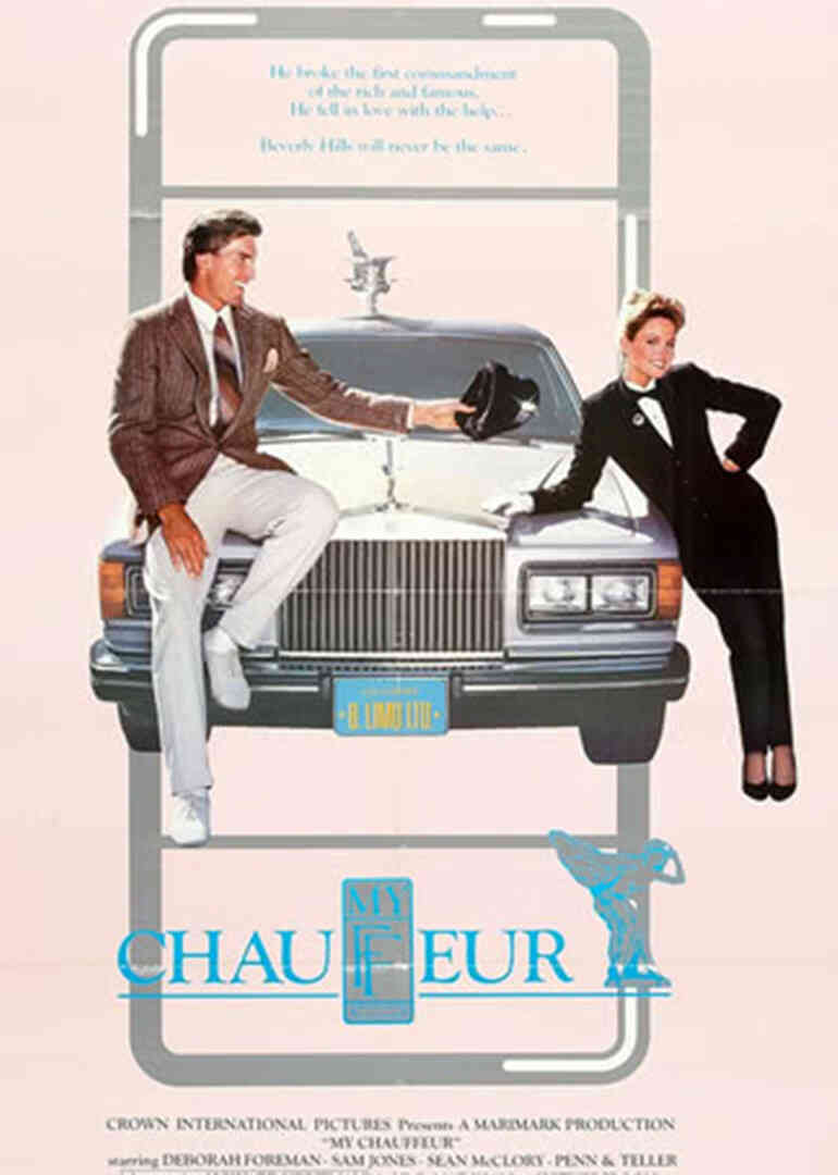 我的司机封面图