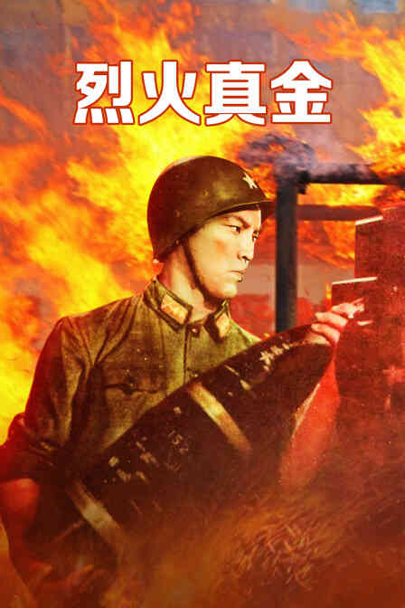 烈火真金封面图