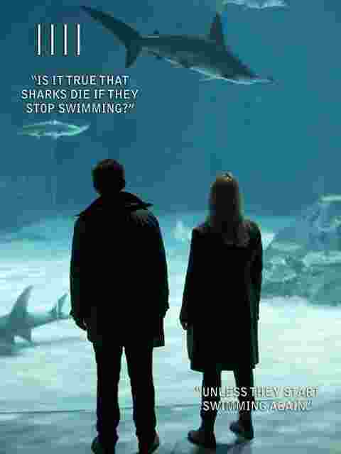 登岛 第四季封面图