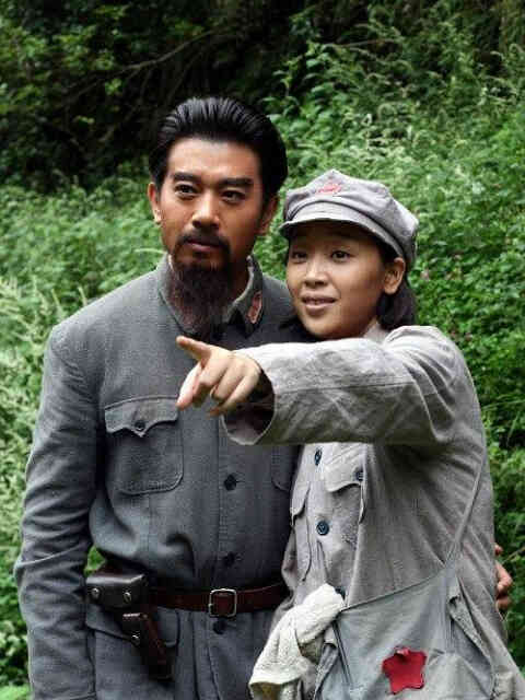 战地黄花封面图