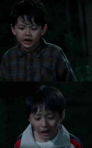 以母之名封面图