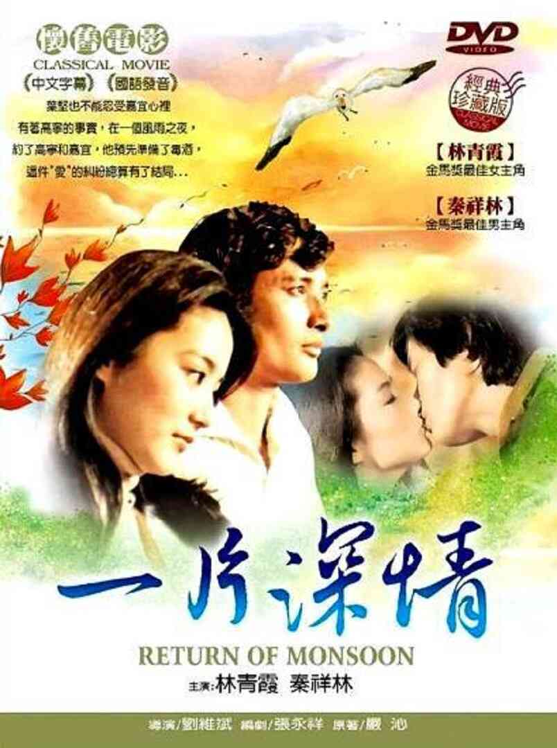 一片深情封面图