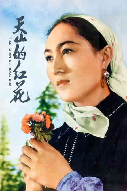 天山的红花封面图