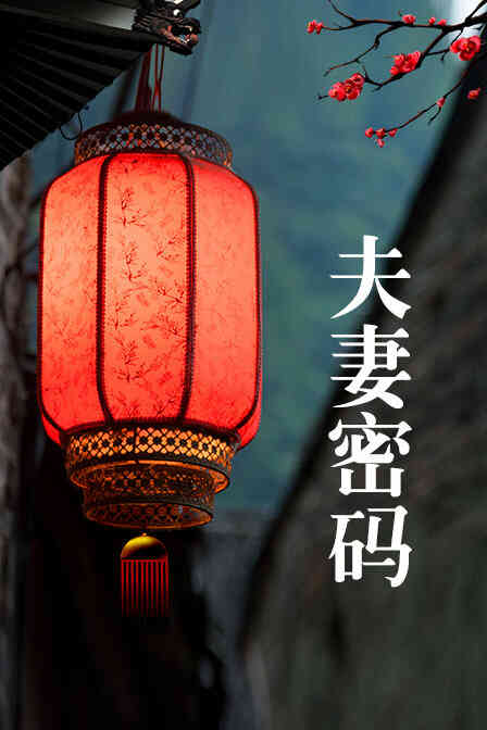 夫妻密码封面图