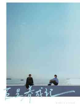 巨星养成记封面图