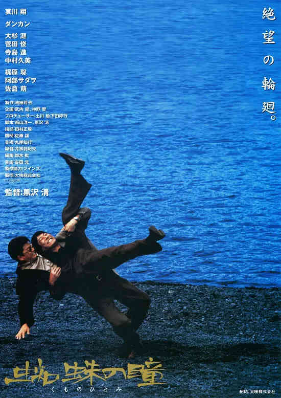 蜘蛛之瞳封面图