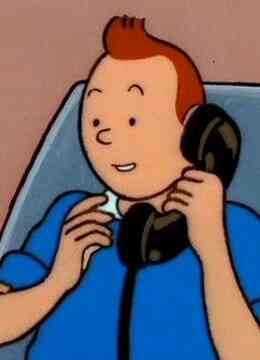 丁丁历险记封面图