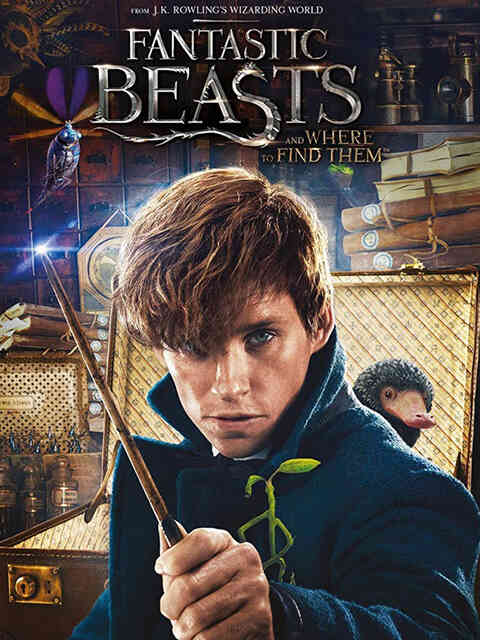 神奇动物在哪里封面图